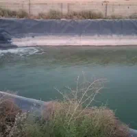 باغچه-به-مساحت-360-متر