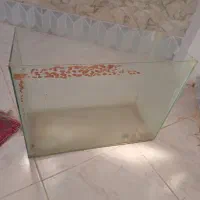 یک عدد اکواریوم بفروش میرسد