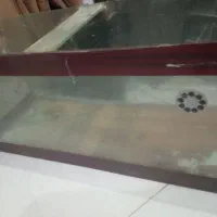 اکورایوم