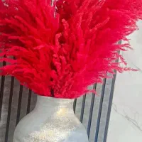 گلدان بزرگ با گل پامپاس