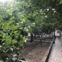 باغچه 655متری واقع در روستای سنگان|فروش خانه و ویلا|تهران, شهران شمالی|دیوار