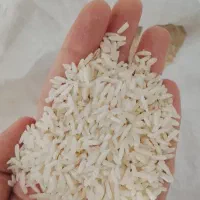برنج هاشمی