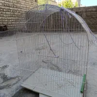 قفس سالم ارزان