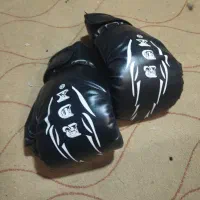 دسکش بوکس نو فقط فقط ۶۰۰