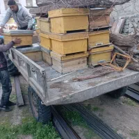 کندو|لوازم جانبی حیوانات|هوراند, |دیوار