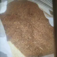 گندم زیر بوجاری