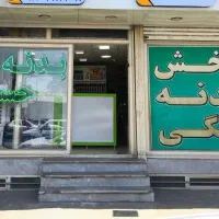 گلگیر کاپوت سینی فن رکاب تودری داشبورد رودری و...