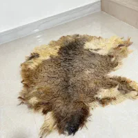پادری پوست طبیعی میش
