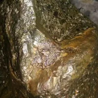 wuihde|کلکسیون اشیاء عتیقه|تهران, شهرآرا|دیوار