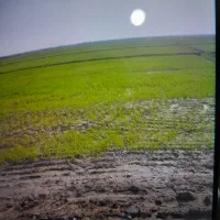 زمین-کشاورزی