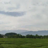 زمین-کشاورزی