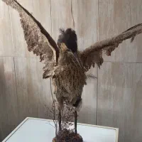 دکوری|مجسمه، تندیس، ماکت|تهران, پامنار|دیوار