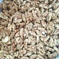فروش مغز گردو سوپر درجه یک و درجه دو بصورت عمده