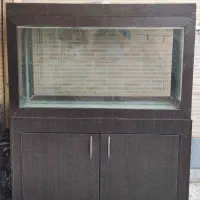 آکواریوم ۴ تومن مقطوع