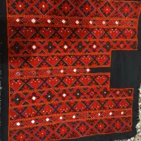 زی استین تارشمار