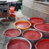 آبگیری ابگیری گوجه و انگور  درب منزل شما