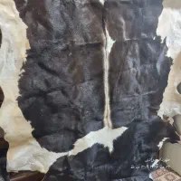 پوست گاو . چرم گاو فوق العاده لاکچری