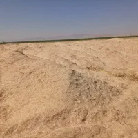 کاه گندم آبی