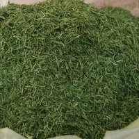 نعنا  بومی درجه یک . از همین  امسال  هست