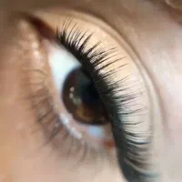 اصلاحکار و اپلاسیونکار