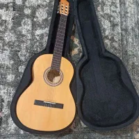 گیتارپارسی مدلm1 فوری