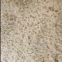 فروش برنج چمپا میلاس