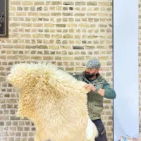 پوستهای شیک صادراتی رومیزی دیوارکوب