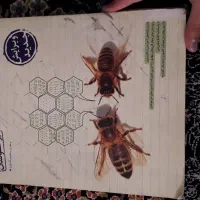 کتاب علوم خیلی سبز تیزهوشان