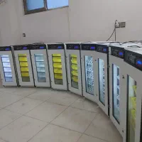 نمایندگی فروش دستگاه جوجه کشی هدایت بیرجند