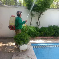 خدمات باغبانی سم پاشی هرس کاری سمپاشی پیوندزنی