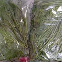 سبزی خوردن
