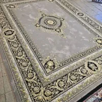 ژیوا فیلی