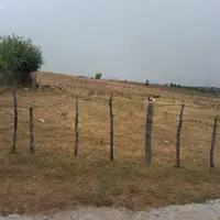 به یه همکار بومی بلوک زن
