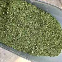 پخش عمده نعناع خشک و شوید خشک