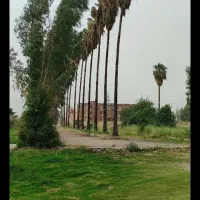 زمین تجاری زیباشهر