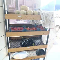 وسایل میوه فروشی