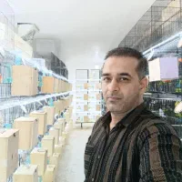 سالن طوطی کوتوله قفس قناری کاسکوگرینچیک لوری ملنگو