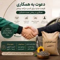 فرصت همکاری در پخش عمده خشکبار