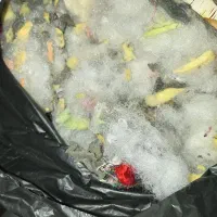 الیاف و پشم شیشه