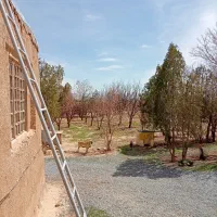 باغ