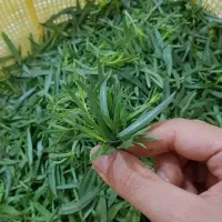 سبزی خشک