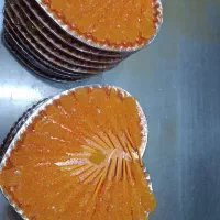 نبات ویژه چوبی شاخ ه ای