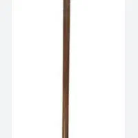 عصا گم شده