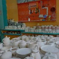 استخدام نیروی خانم