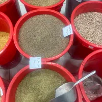 فروش روغن زیتون و کلزا و ارده کنجد و کنجد