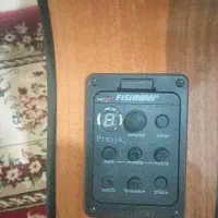گیتار لوطیر