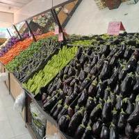 کارگر ساده جهت میوه و تره بار