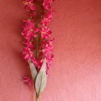 شاخه گل