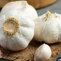 سیر درجه یک به قیمت زیر بازار