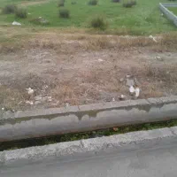 زمین بر خیابان اصلی